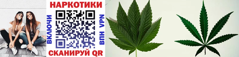 APVP Порхов