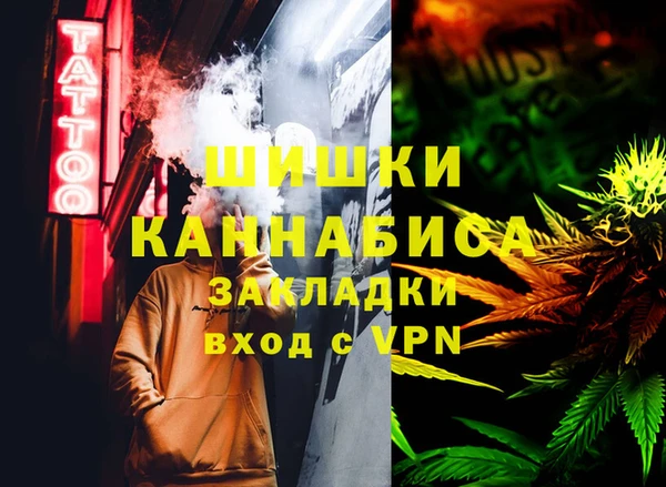 гидра Михайловск