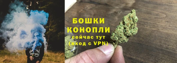 гидра Михайловск