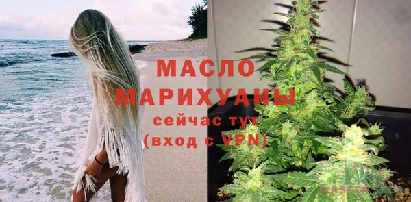 твердый Мегион