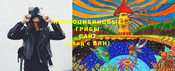 меф Медвежьегорск