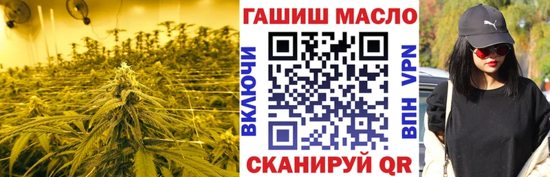 blacksprut зеркало  Порхов  ТГК вейп  закладки 